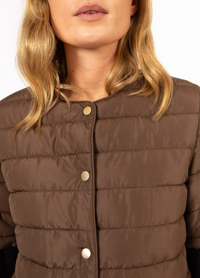 CC Heart CC HEART ASTA QUILTED SHORT SLEEVED JACKET Outerwear Chocolate brown - 349