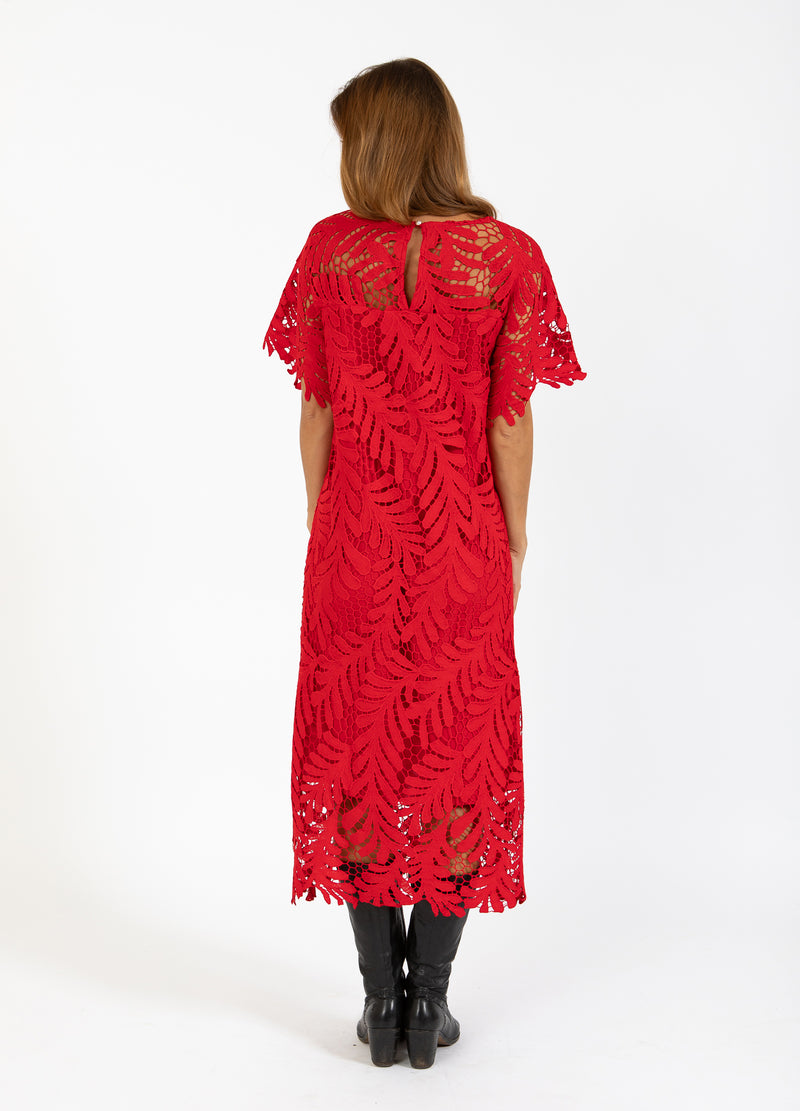 Coster Copenhagen LACE DRESS Dress Scarlet red - 618