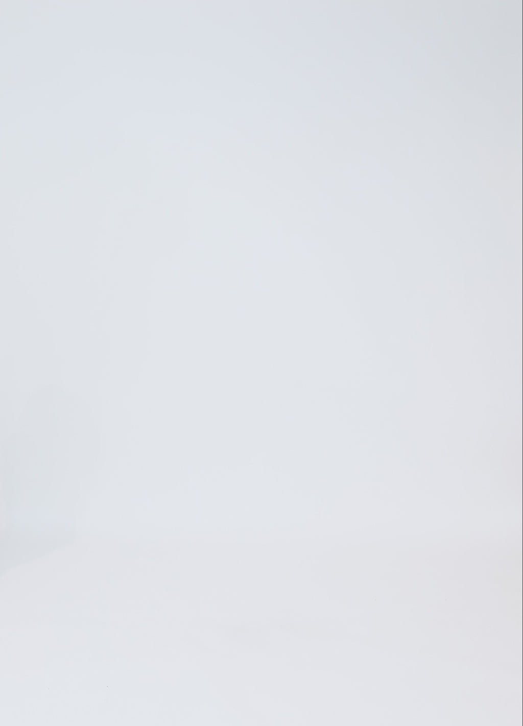 CC Heart CC HEART ALIZA LACE LONGSLEEVED BLOUSE Shirt/Blouse Black - 100