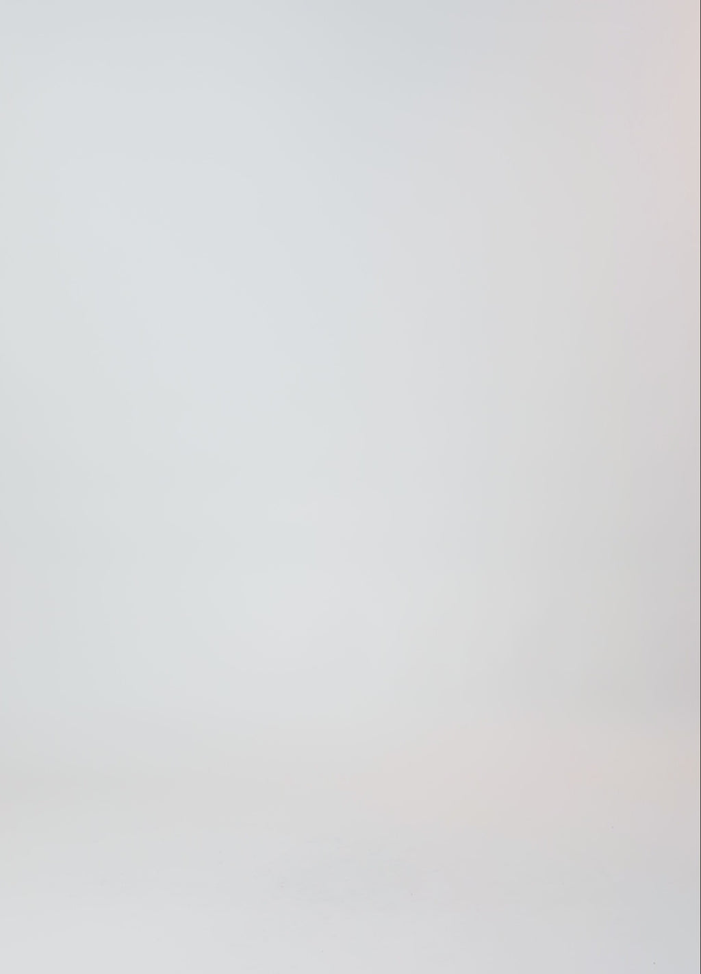 Coster Copenhagen ZEBRA BOMBER JACKET Outerwear Big zebra print - 915