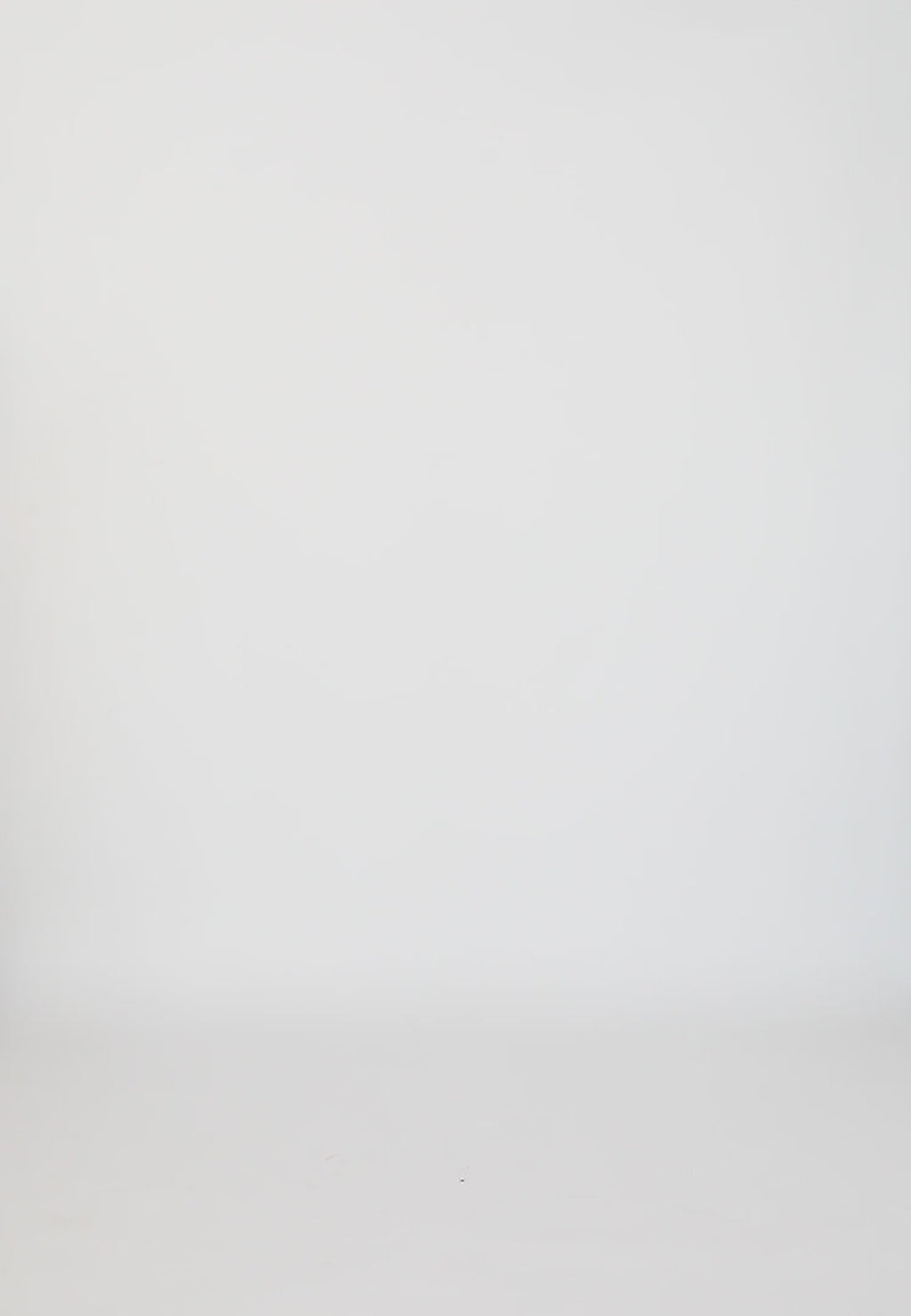 Coster Copenhagen COLORBLOCK POINTELLE KNIT Knitwear Mix - 999
