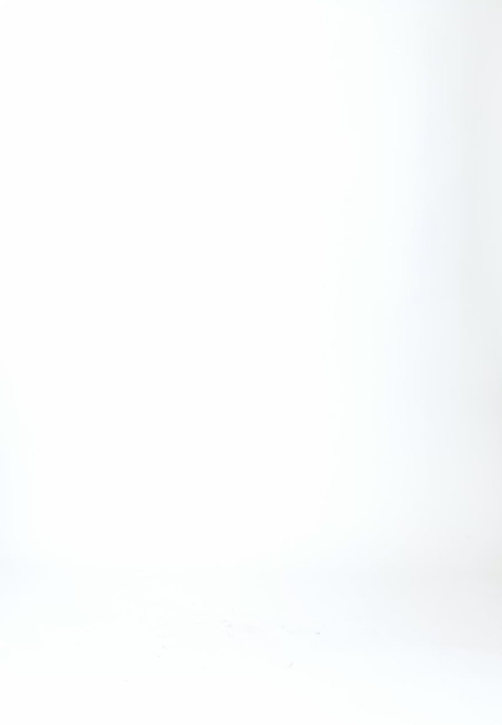 Coster Copenhagen MULTICOLOR KNIT Knitwear Lime - 463