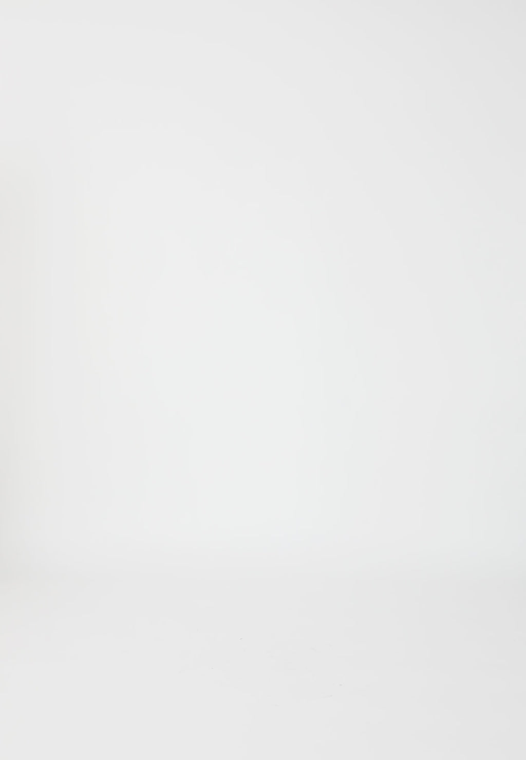 Coster Copenhagen FITTED CLASSIC SHIRT Shirt/Blouse White - 200