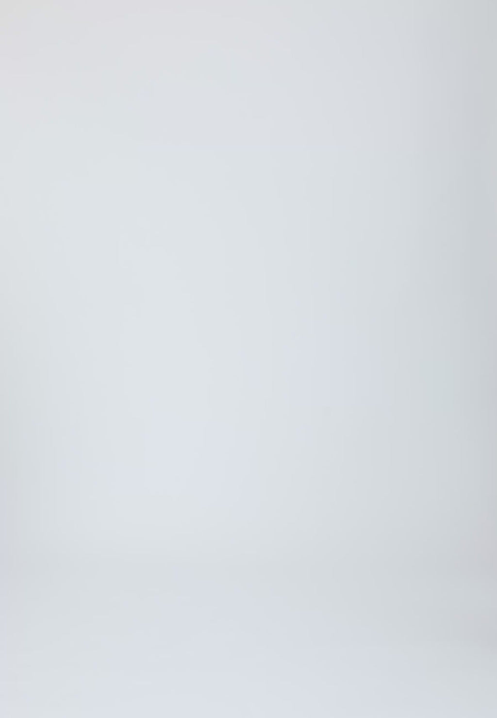 Coster Copenhagen LOGO SWEATSHIRT Shirt/Blouse Creme - 241