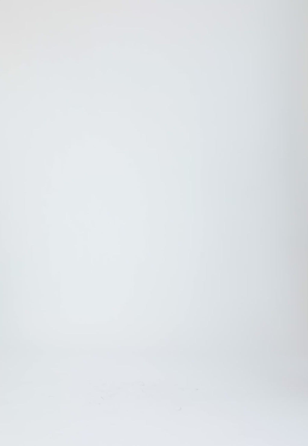 Coster Copenhagen LONGSLEEVED BLOUSE WITH FRILLS Shirt/Blouse Off White - 202