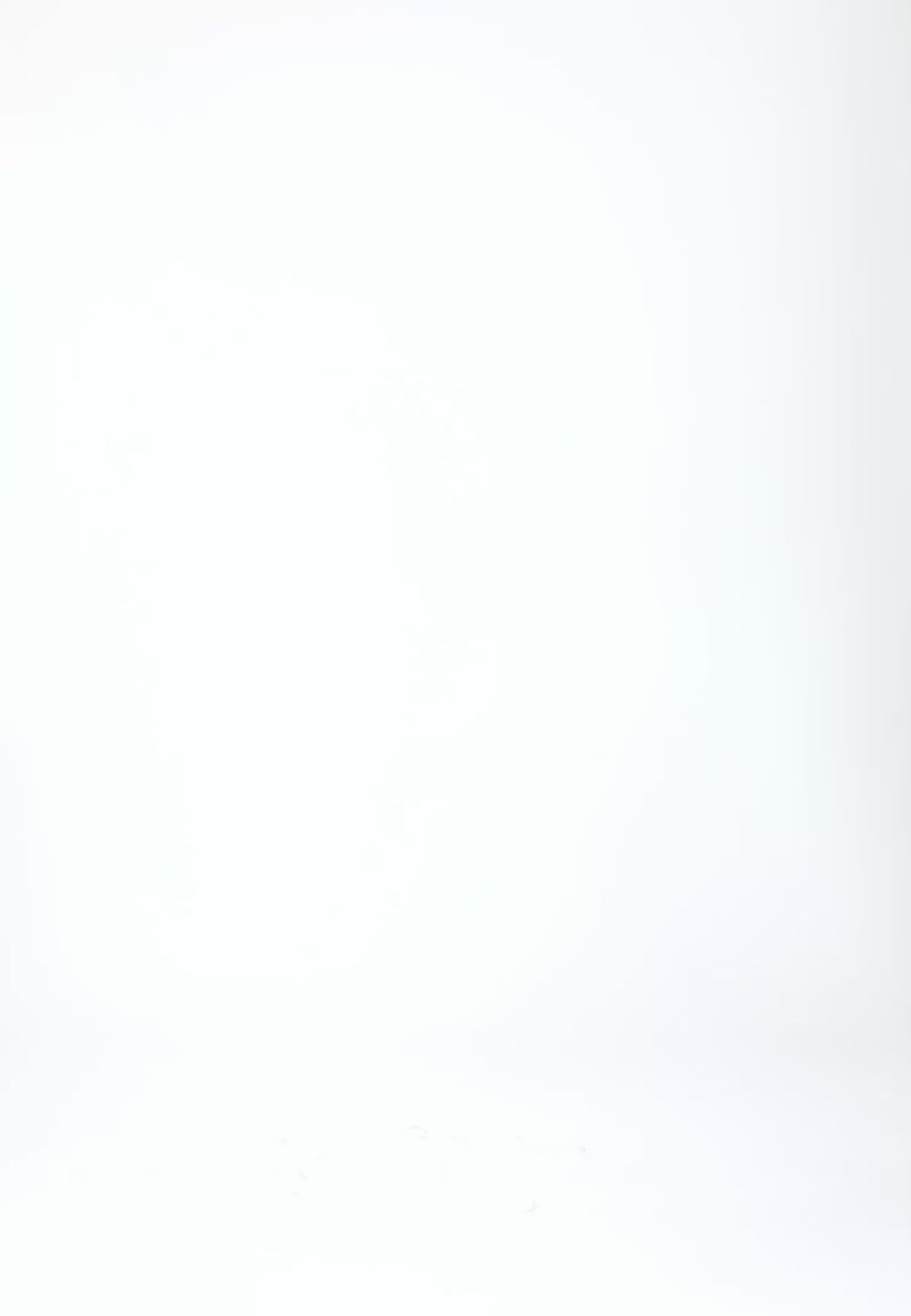 Coster Copenhagen LOGO ELASTIC BELT Accessories Dusky blue - 521 (silver buckle)