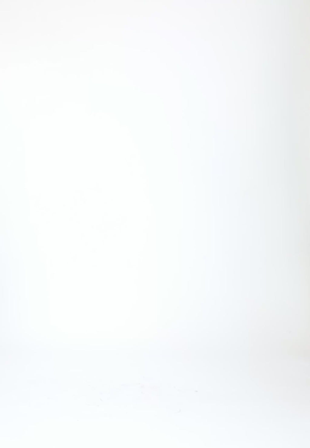 Coster Copenhagen TRANSPARENT SHIRT WITH FLOWERS Shirt/Blouse Lime - 463