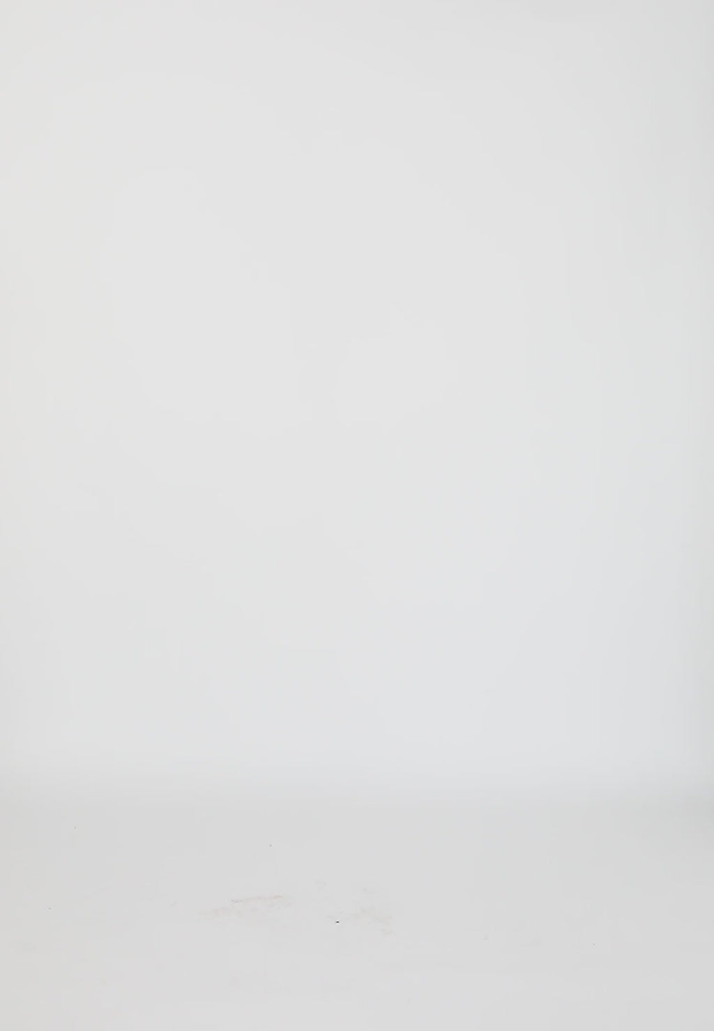 Coster Copenhagen SKIRT IN BRODERIE ANGLAISE Skirt Moon rock - 137