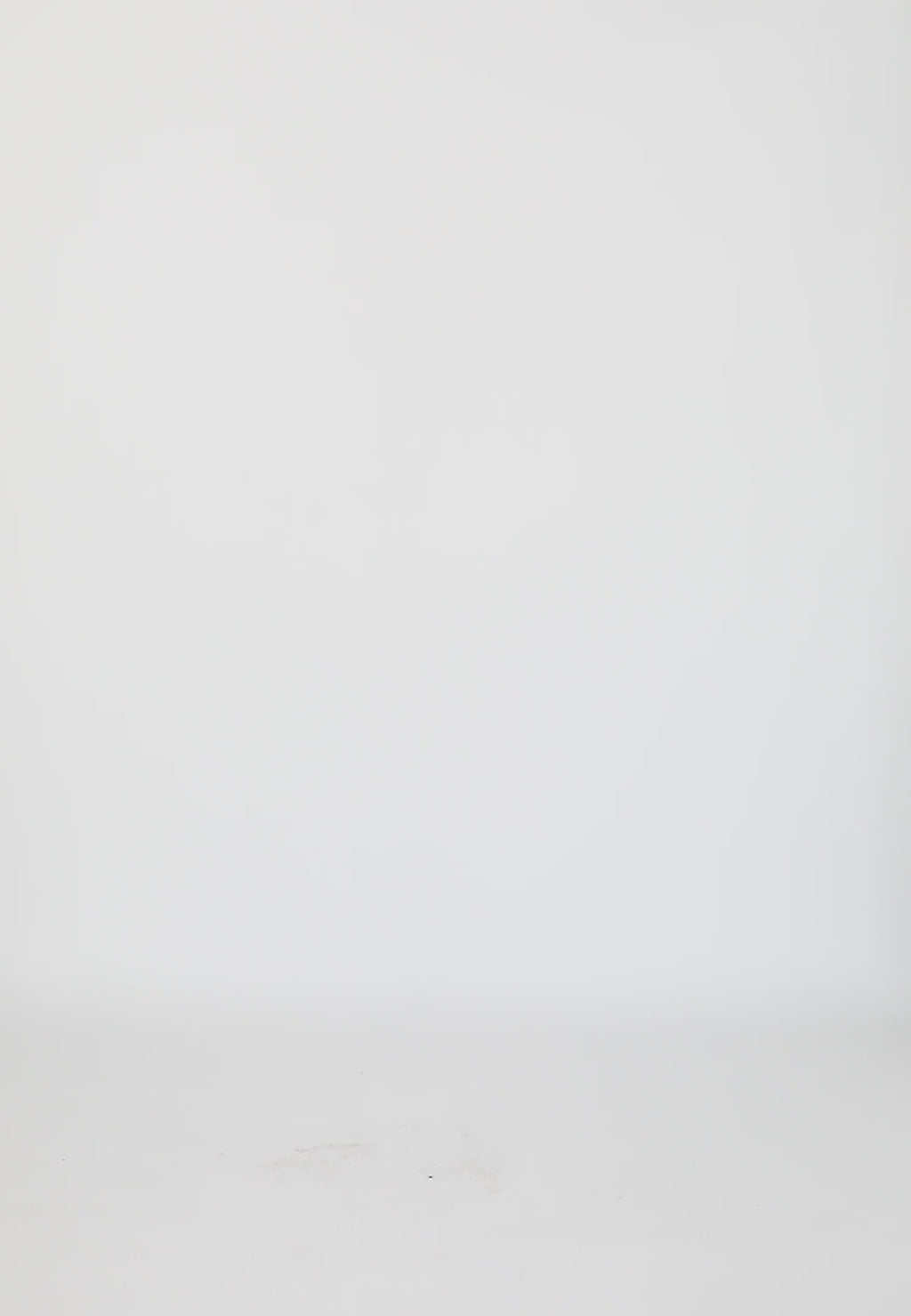 Coster Copenhagen LEO HEART TEE T-Shirt White - 200