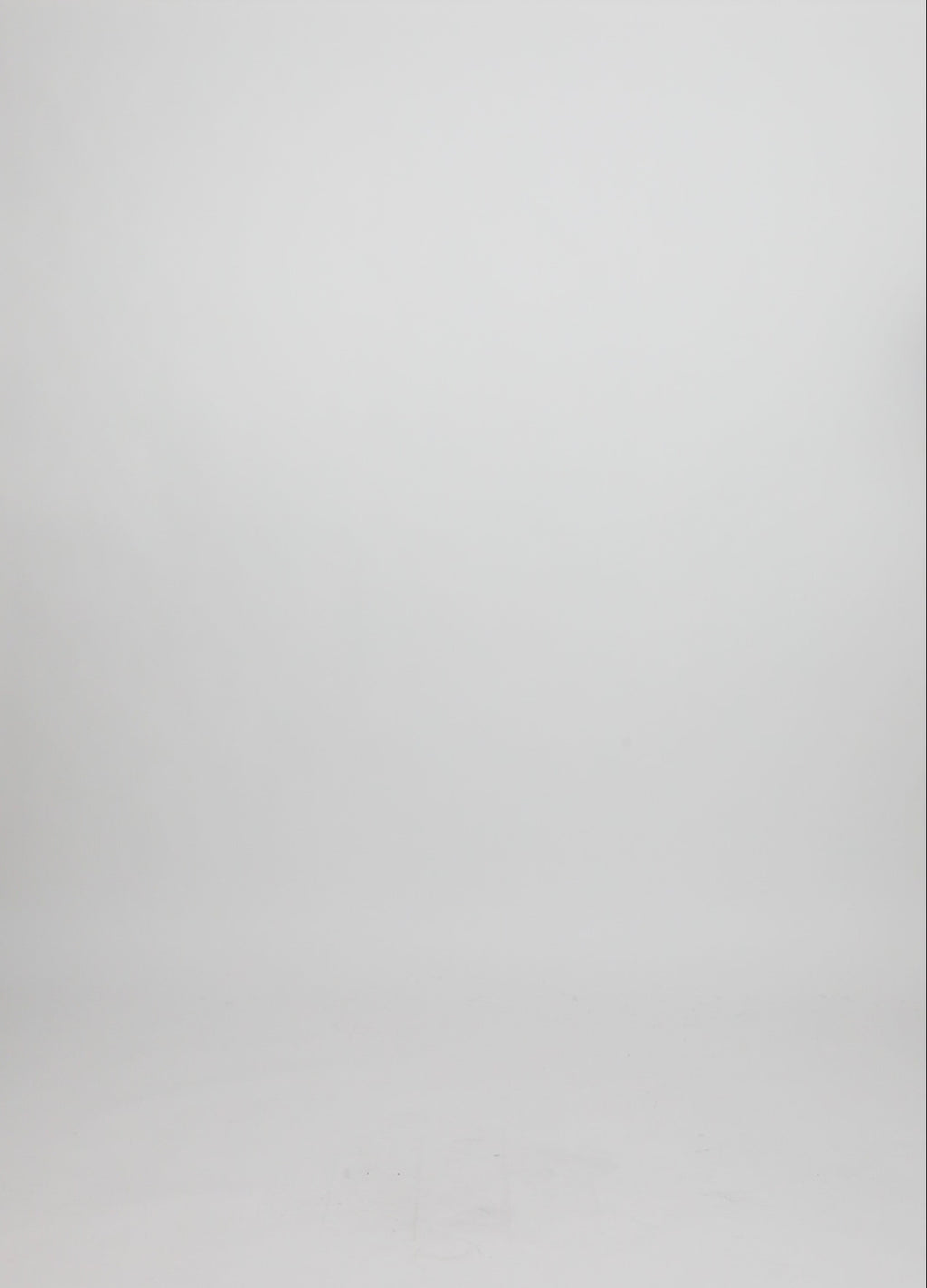 CC Heart CC HEART ELISE LONG SKIRT IN LEO PRINT Skirt Leo print - 900